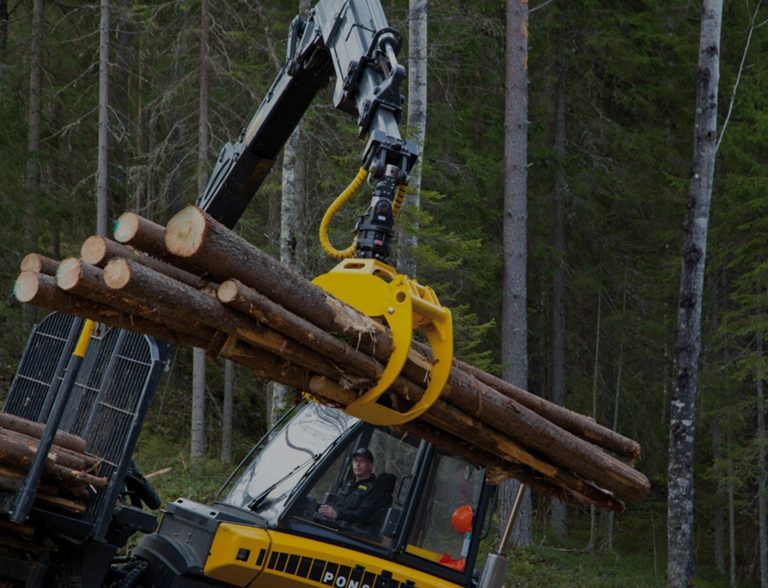 Les 5 Meilleures Pinces Forestières : Avis et Comparatif