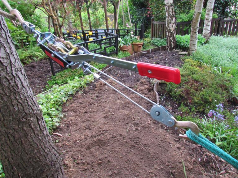 Les 5 Meilleurs Tire-Forts Forestiers : Avis et Comparatif