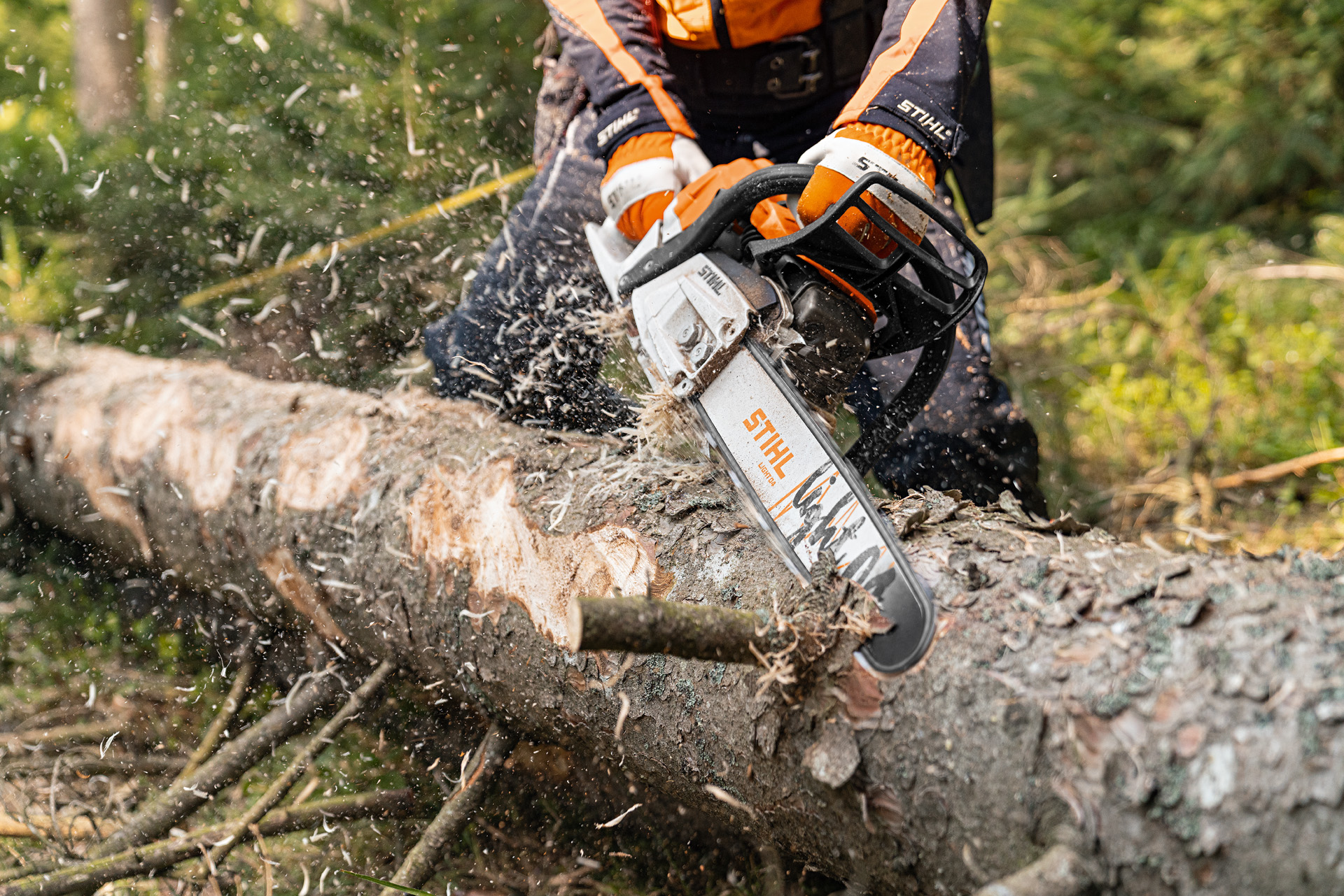 Bûcheron en tenue de protection tronçonnant un tronc couché en forêt, copeaux de bois projetés en l'air